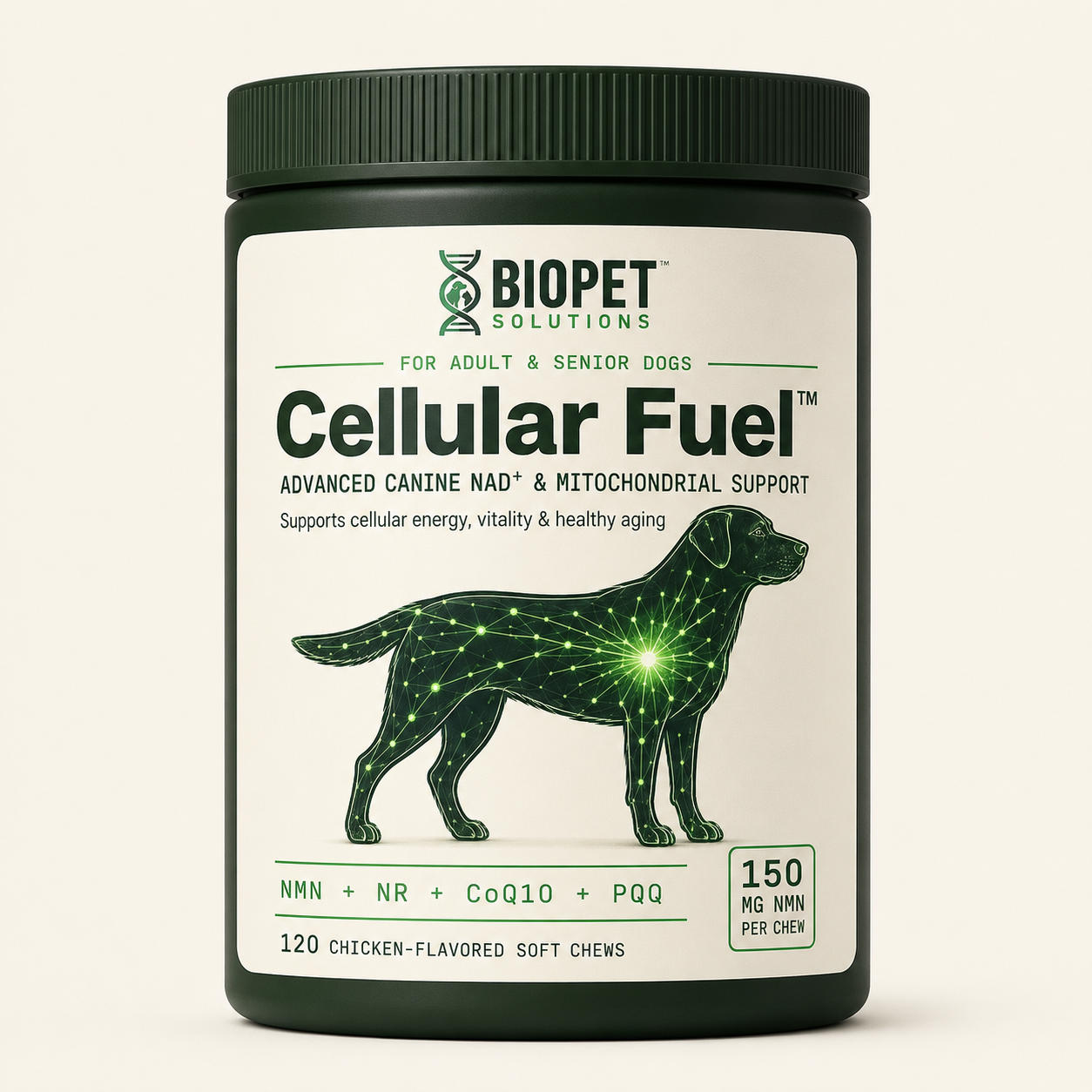 Cellular Fuel