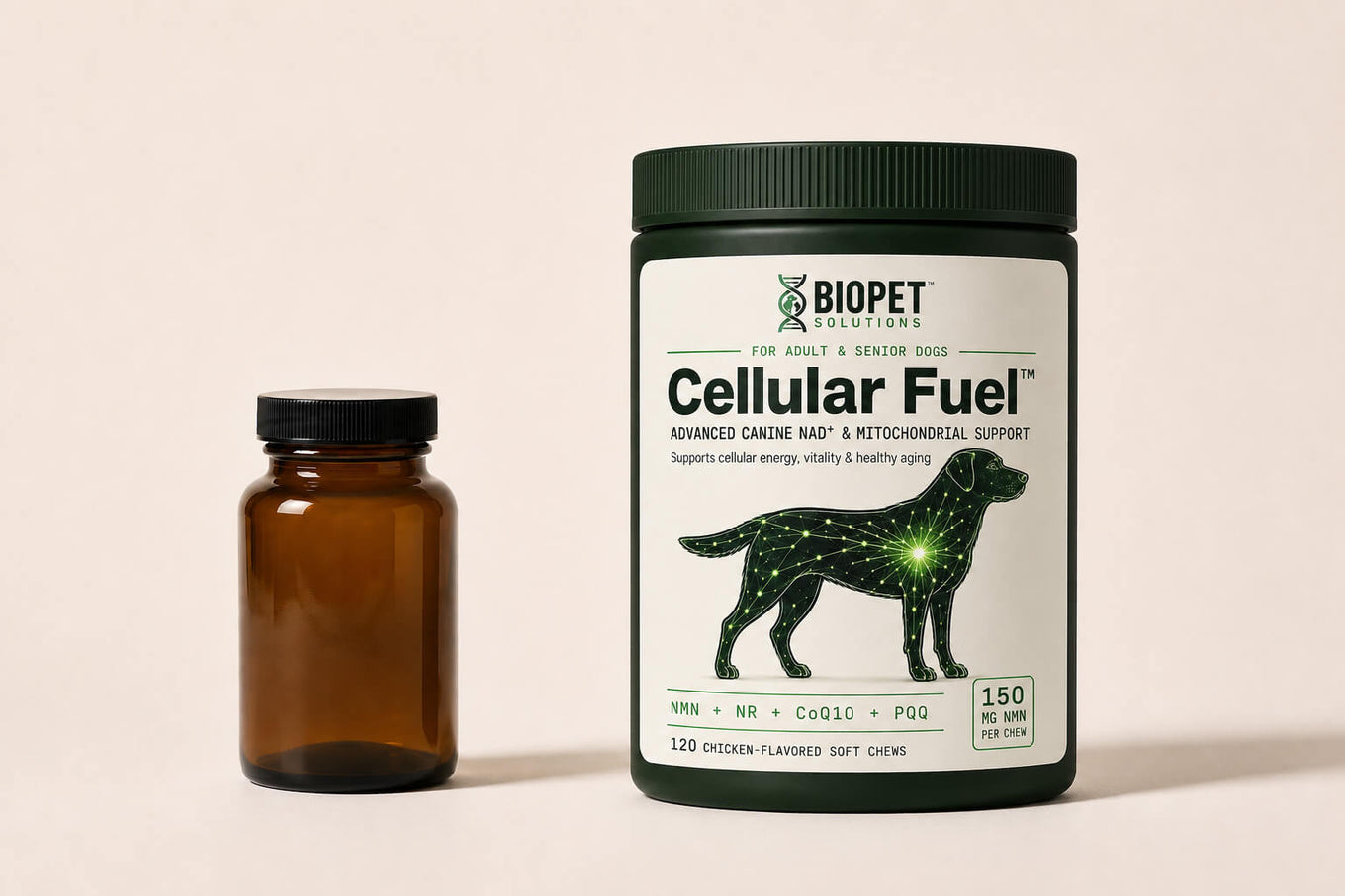 A plain supplement bottle standing beside a pack of Cellular Fuel on a pale surface.